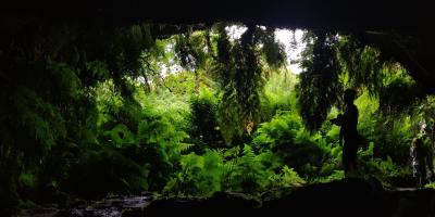 image from Lavagärten