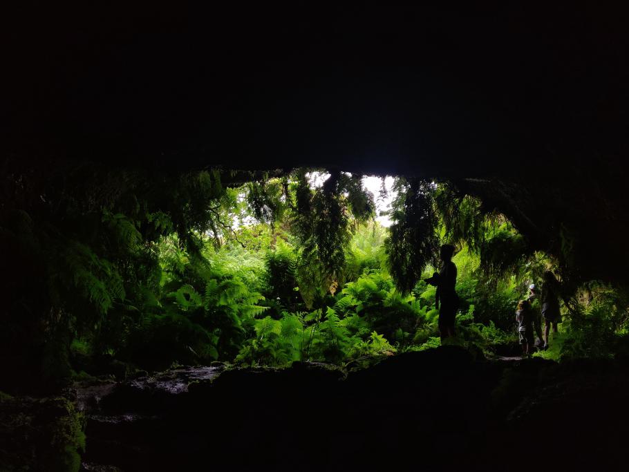 Auf dem Rückweg wirkt der Eingang noch grüner