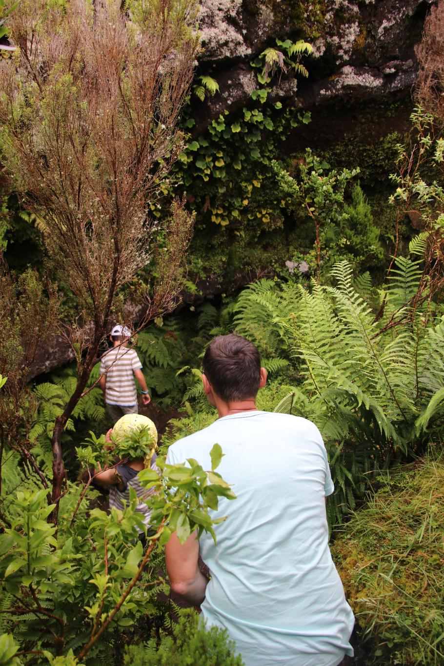 Wir pirschen uns leise hinab