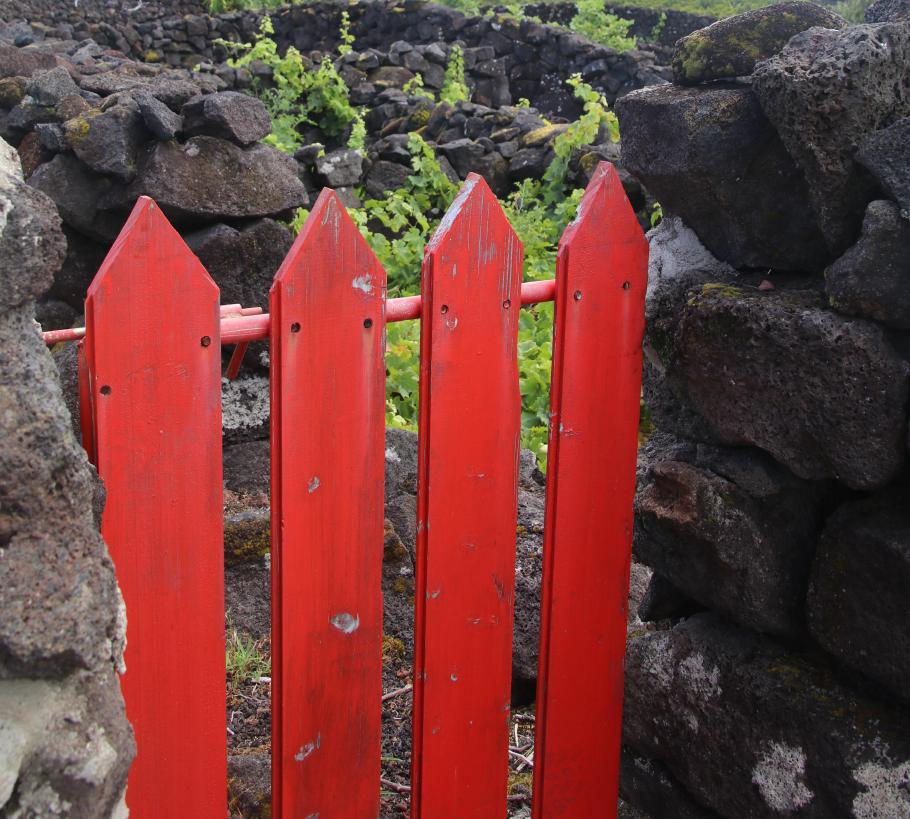 Malerische Farbgestaltung