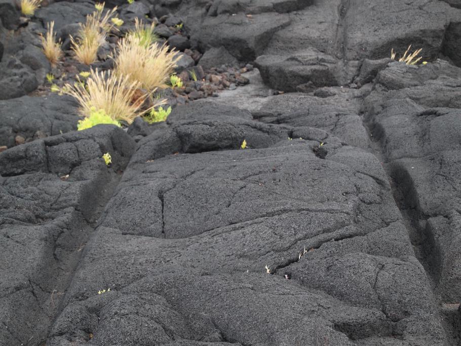Hier fuhren über viele Jahre mit Weinfässern beladene Ochsenkarren