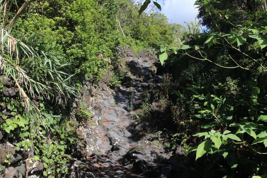 Wenn es regnet, ist hier bestimmt ordentlich was los