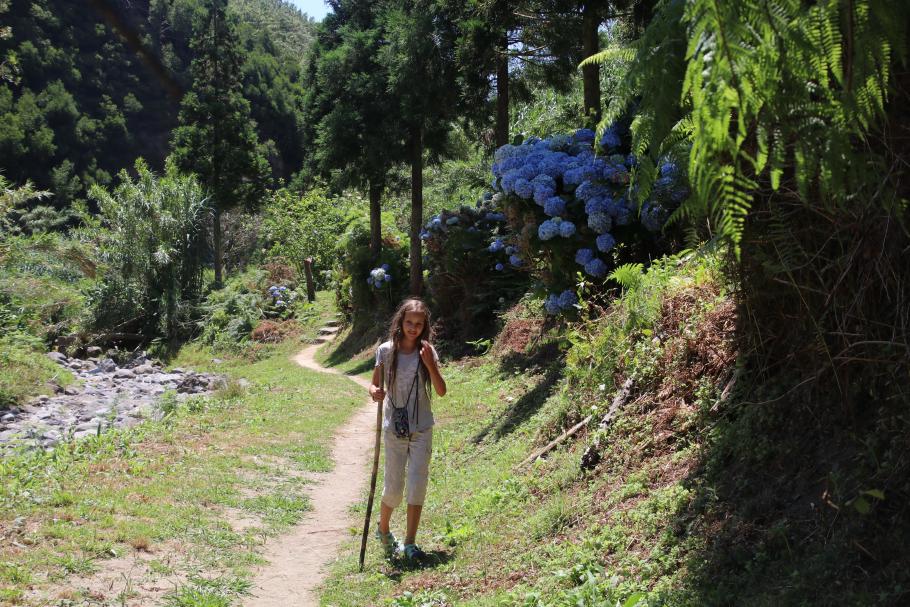 Aufgrund der Hortensien hat man oft das Gefühl, durch einen Garten zu wandern