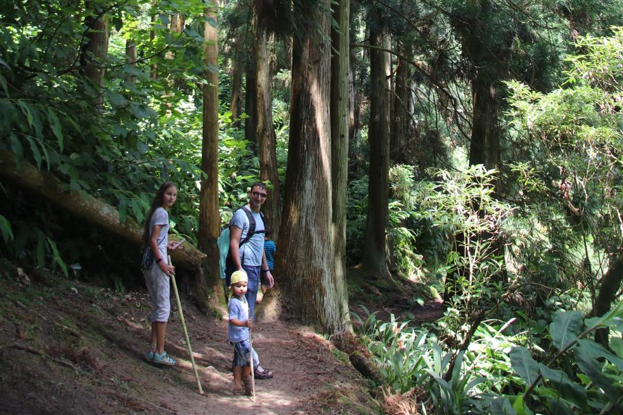 Der Pfad führt uns durch ein kleines Zedernwäldchen