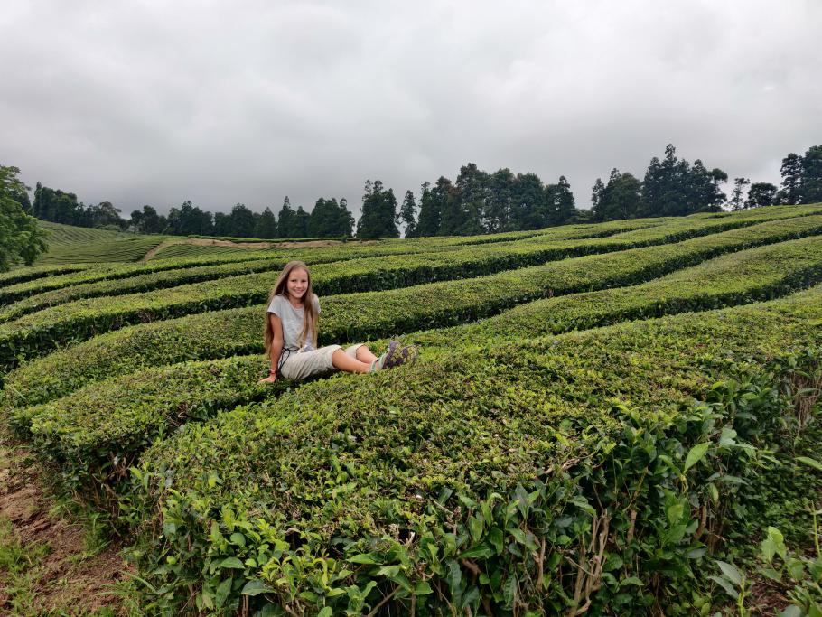 Voll im Tee &hellip;