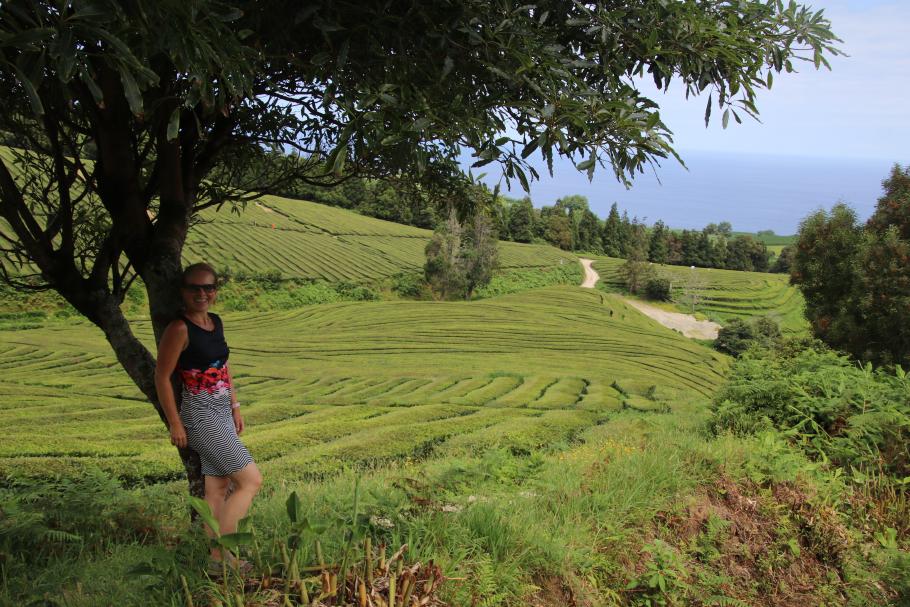 Auf dem Rückweg beleuchtet die Sonne ein dekoratives Panorama