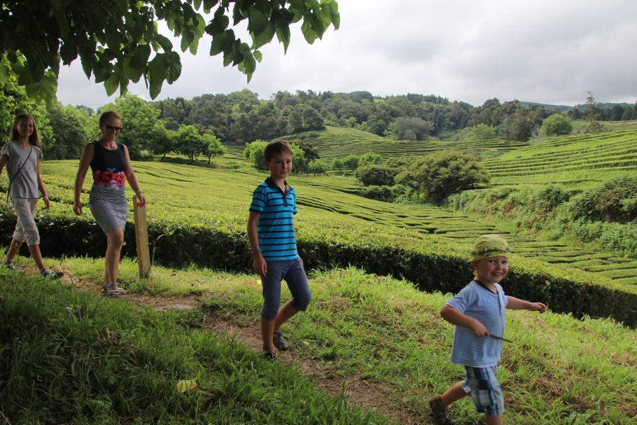 Mit bester Laune beenden wir die Wanderung