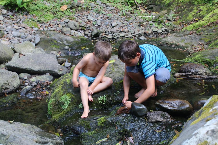 Die Jungs bauen Dämme