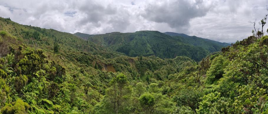Die Hänge des Tals sind sattgrün bewachsen
