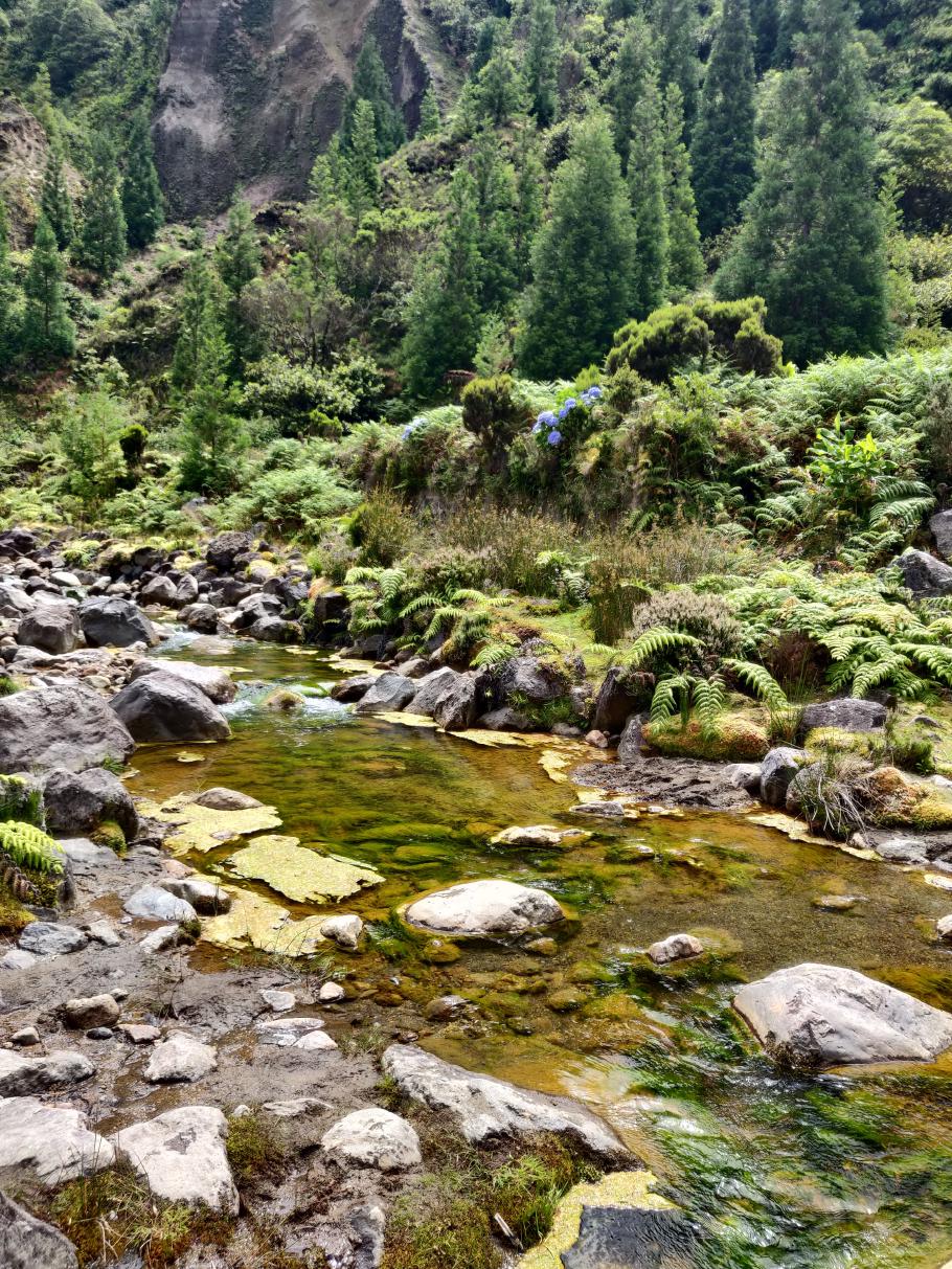 Eines der Flüsschen ist durch Eisen und Algen orange und grün gefärbt
