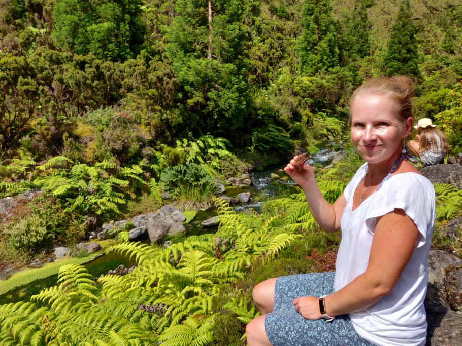 Brownies on the Rocks