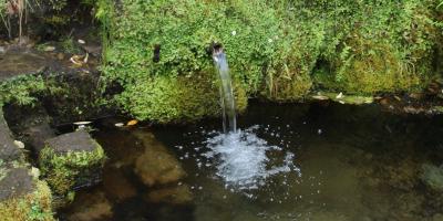 image from Aqua com gás