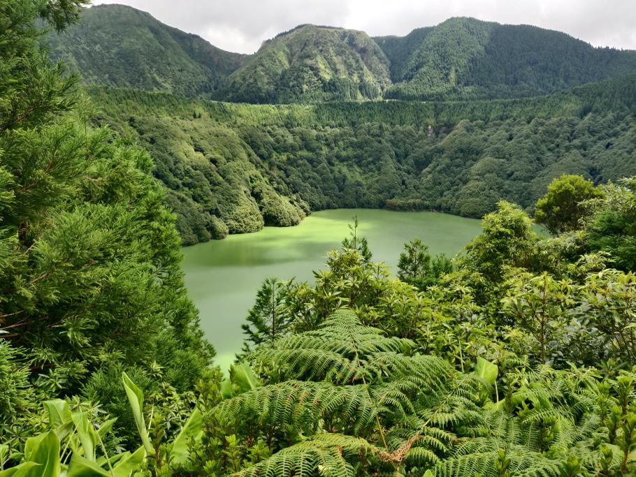 Fifty Shades of Green