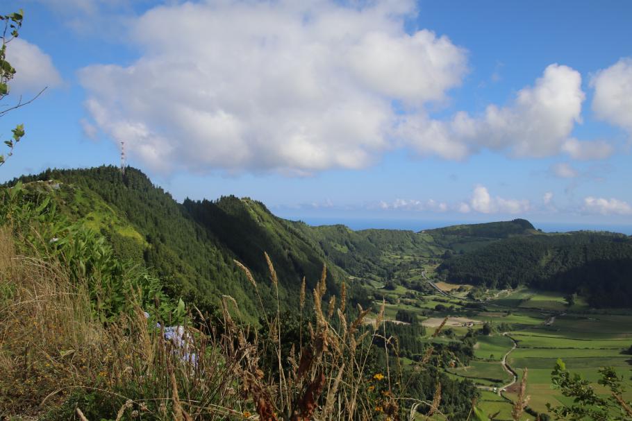 Ganz hinten, wo die Straße zum Kraterrand führt, da wollen wir hin