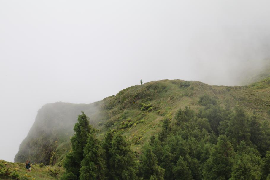 Ich marschiere mit Mattis voran, während Annabell und Felix noch an einem Pokemon festhängen