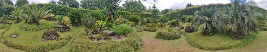 Der Park ist in thematische Bereiche unterteilt, wie diesem prächtigen Palmengarten