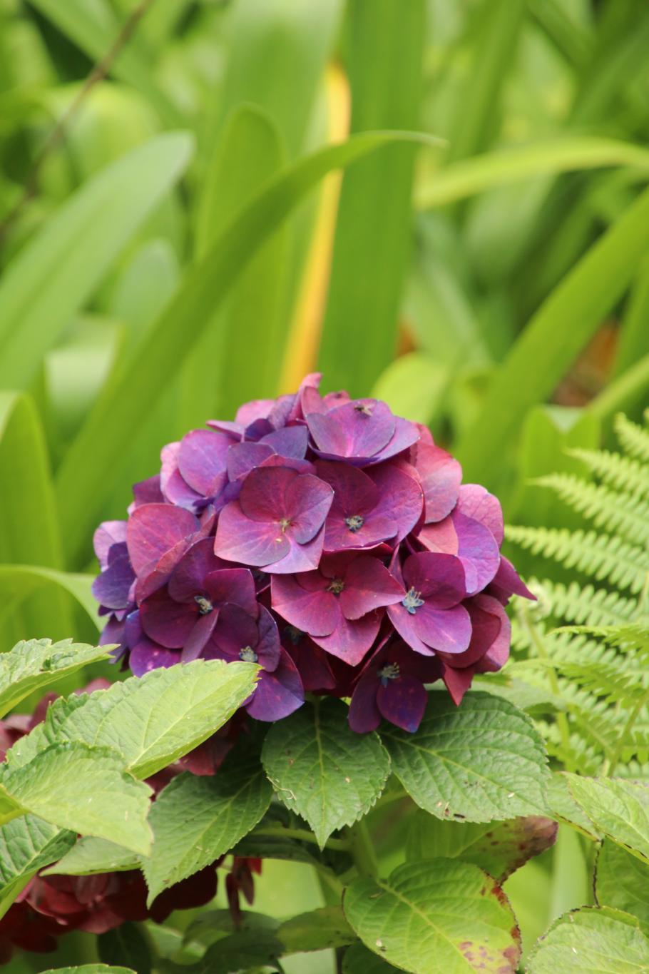 Mal was anderes als blauweiß