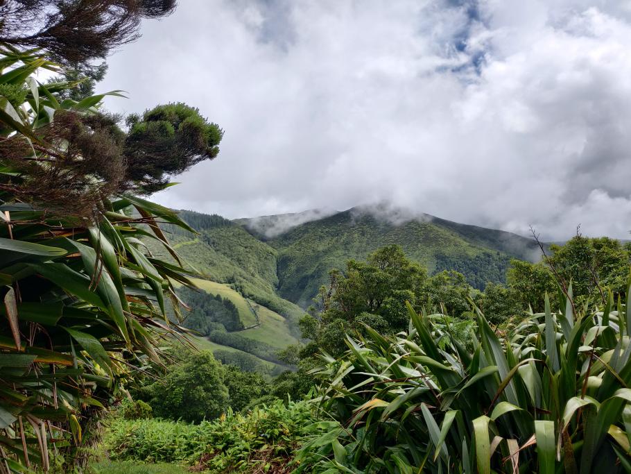 Nachdem es sich abgeregnet hat, kommt die Sonne kurz raus und lässt die Hänge dampfen