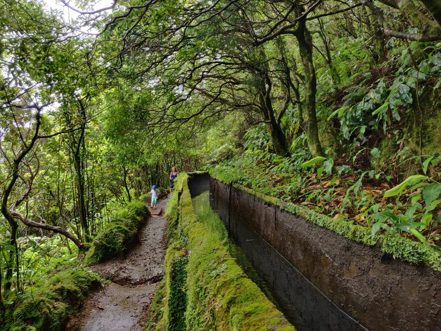 Ab hier verläuft die Wanderung entlang der Levada fast ohne Anstieg