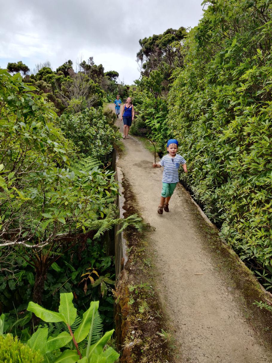 An manchen Stellen führt der Weg kurz von der Levada weg, über alte Brücken ohne Geländer