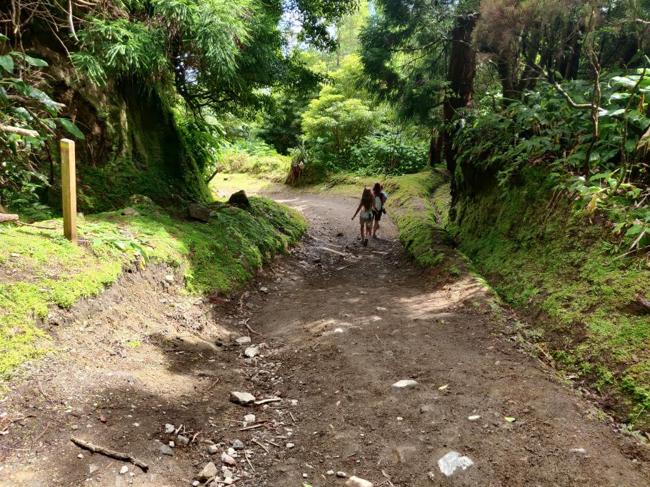 Ich bin froh, dass ich das Auto habe unten stehen lassen.