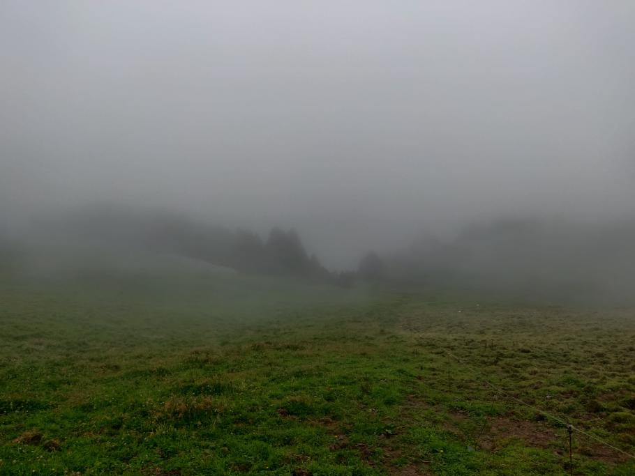 Zunächst noch recht zugezogen
