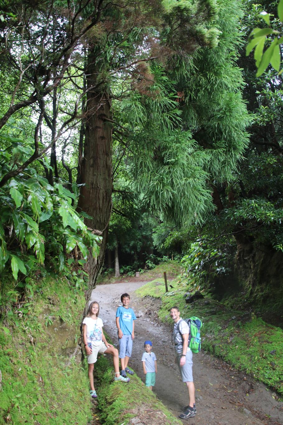 Unter einer Sicheltanne finden wir ein trockenes Plätzchen