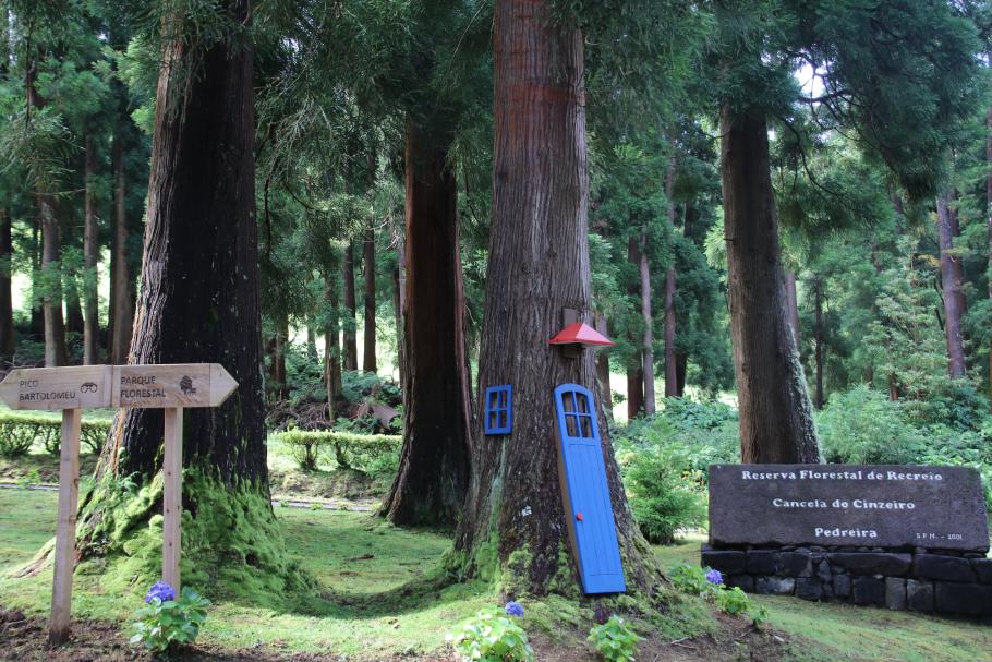 Ein &ldquo;Baumhaus&rdquo; begrüßt uns am Eingang des Schutzgebietes