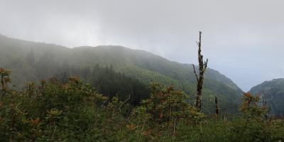 image from Regenwetter