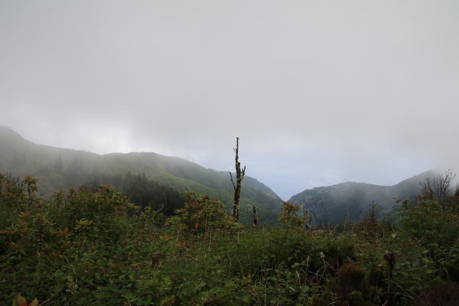 Der Ausblick am Pico Bartholomeu lohnt heute nicht