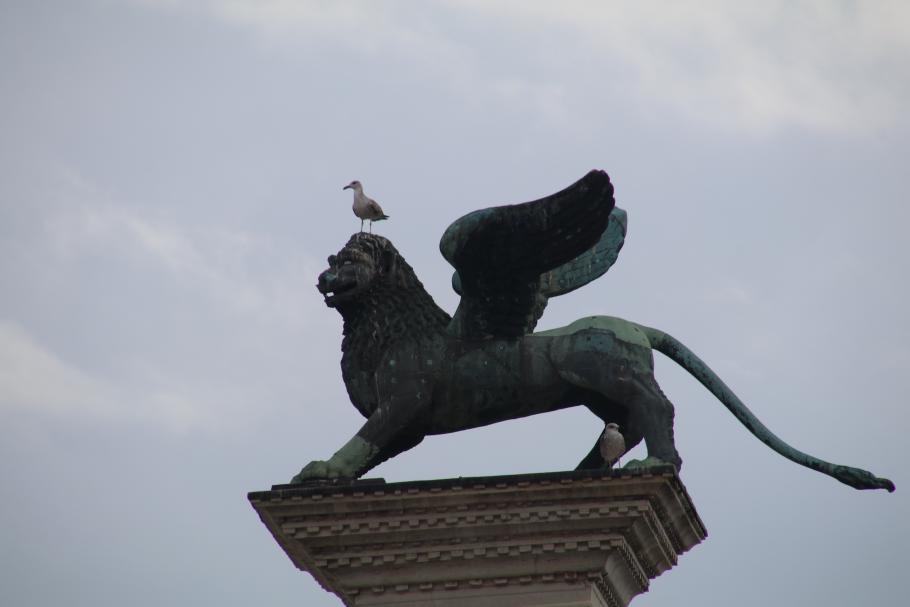 Ein als Möwe getarnter Löwe mit Möwe schaut über den Markusplatz