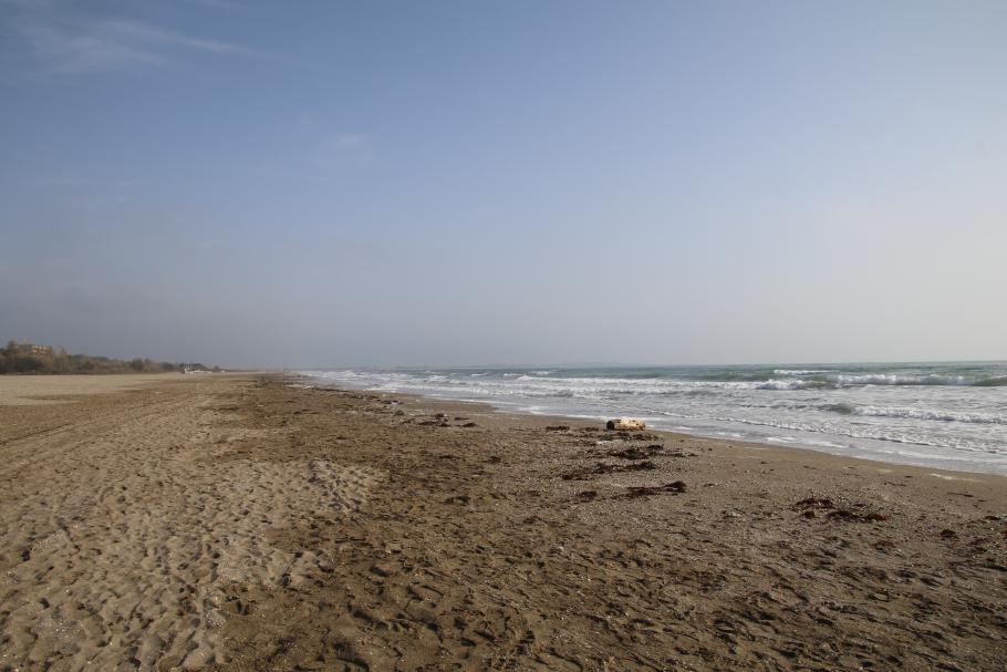 Im Wesentlichen haben wir den Strand für uns