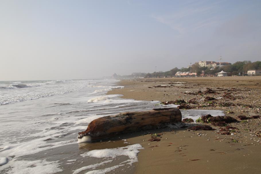 Noch hält sich der Nebel, die Sonne macht aber ordentlich Boden gut