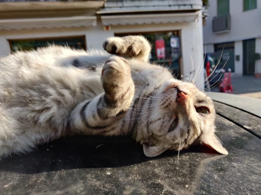 So ungefähr fühlen wir uns jetzt auch