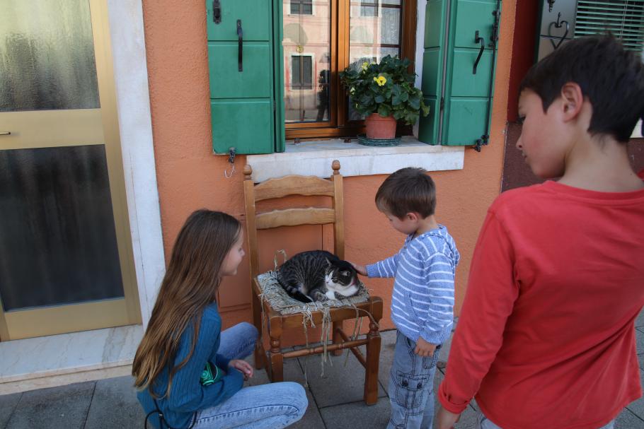 Zum Glück gibt es etwas Ablenkung