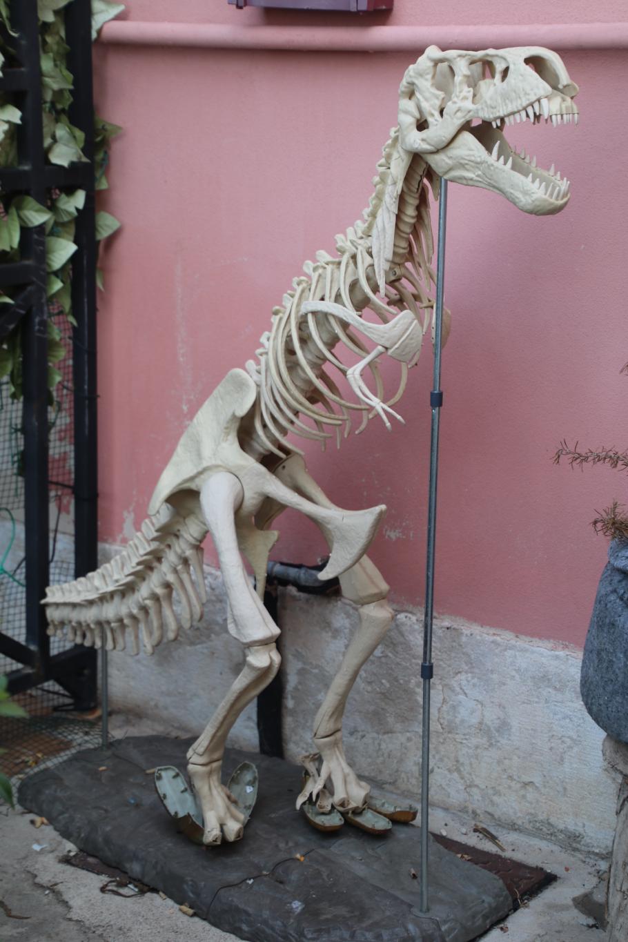 Hier und da wird schon für Halloween geschmückt