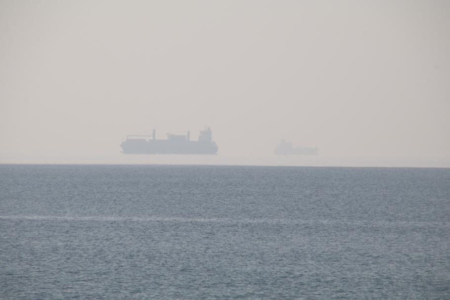 Ob die sich auch auf Halloween vorbereiten?