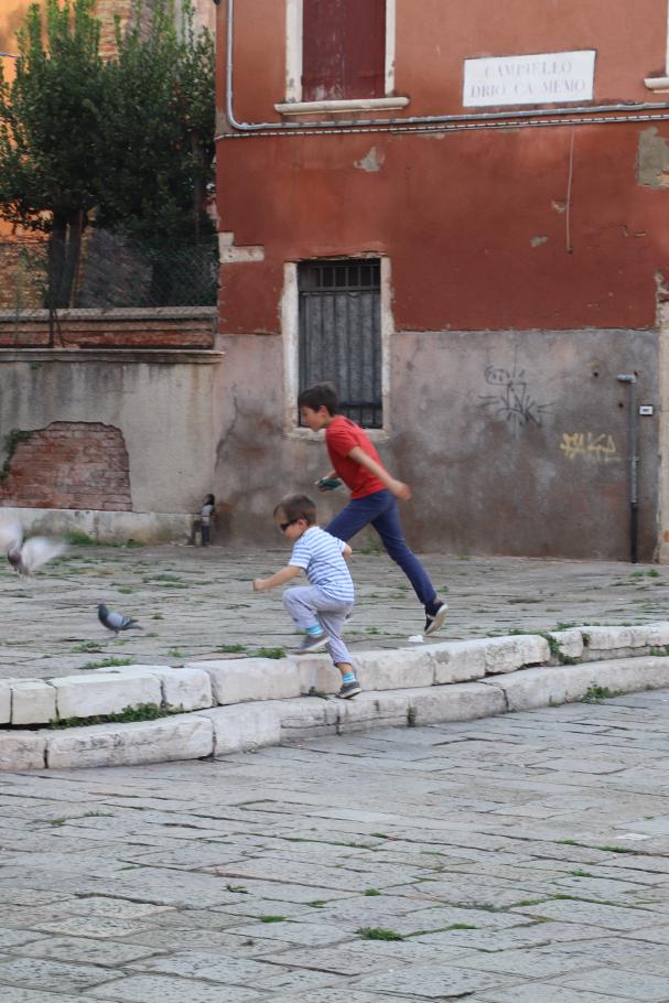Wieder an Land werden erst einmal professionell Tauben gejagt