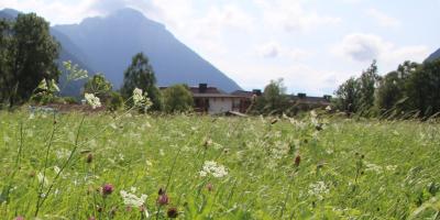 image from Tschüss Deutschland