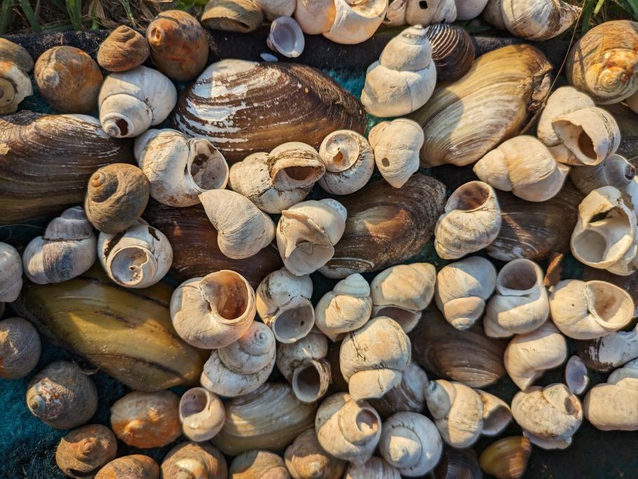 Mattis möchte am liebsten alle mitnehmen