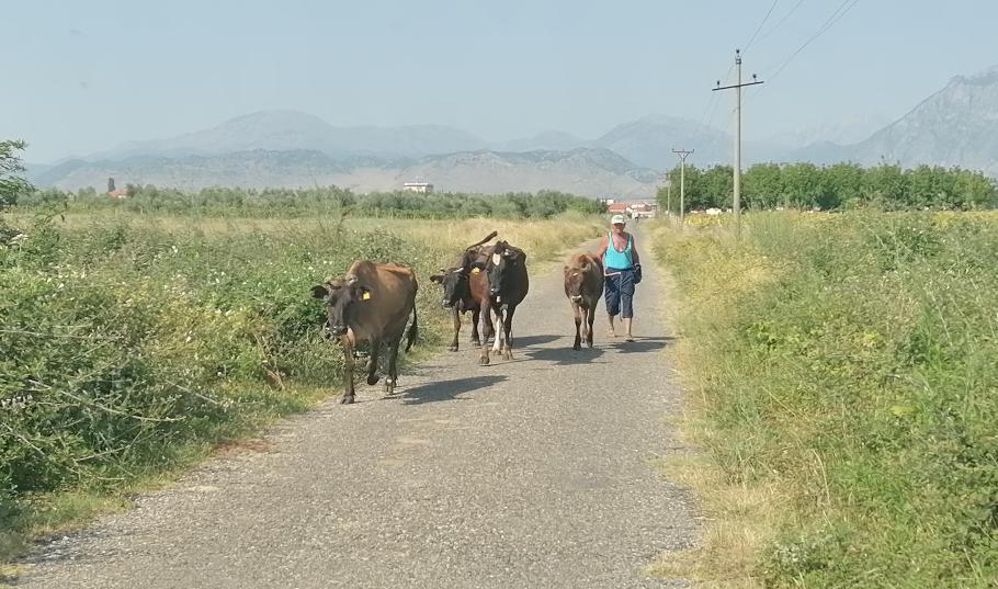 Bevor wir auf die Hauptstraße kommen, müssen wir erst einmal hier vorbei.