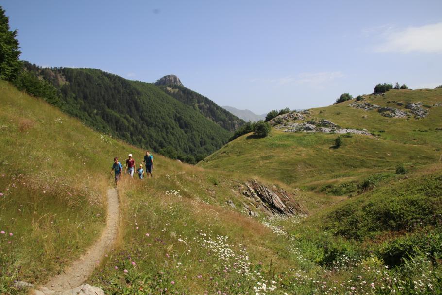 Alle sind begeistert von der abwechslungsreichen Landschaft