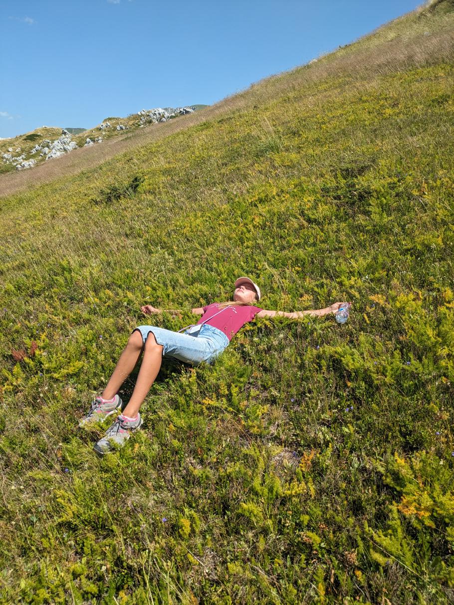 In wildem Dill eingelegte Annabell