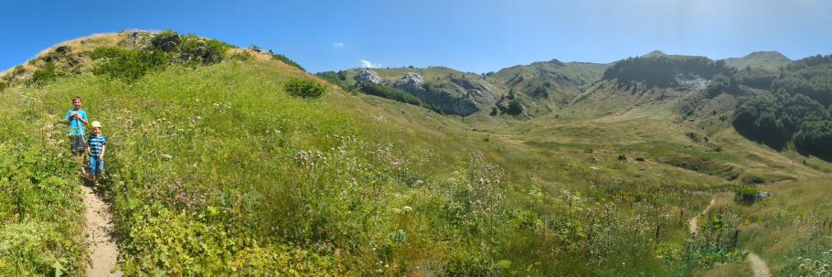 Sehr grün aber auch sehr sonnig
