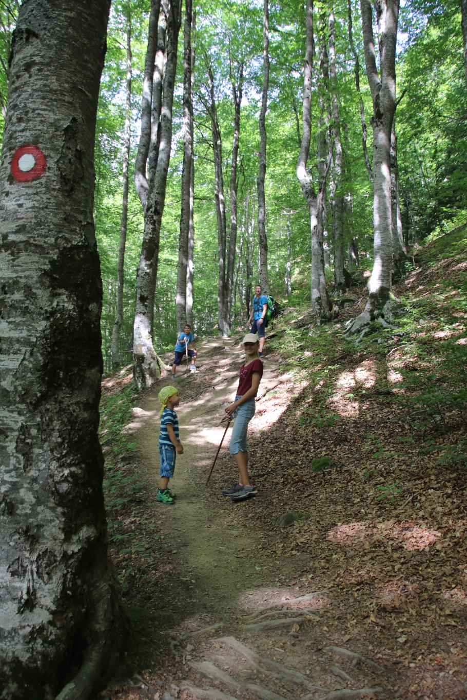 Gleich zu Beginn geht es steil bergauf