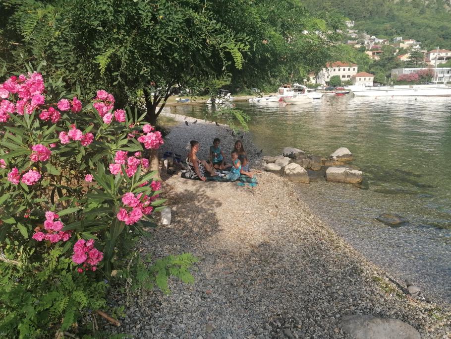 Frühstück zwischen Oleander und Meer