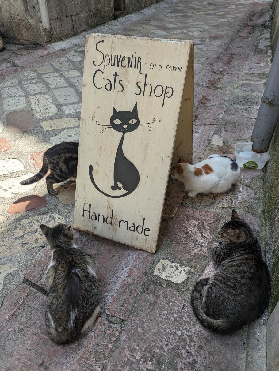 Hatte ich das mit den Katzen schon erwähnt?