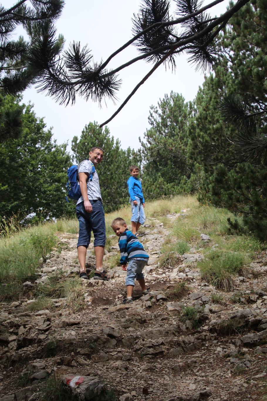 Kurz aber steil geht es den Berg hinauf