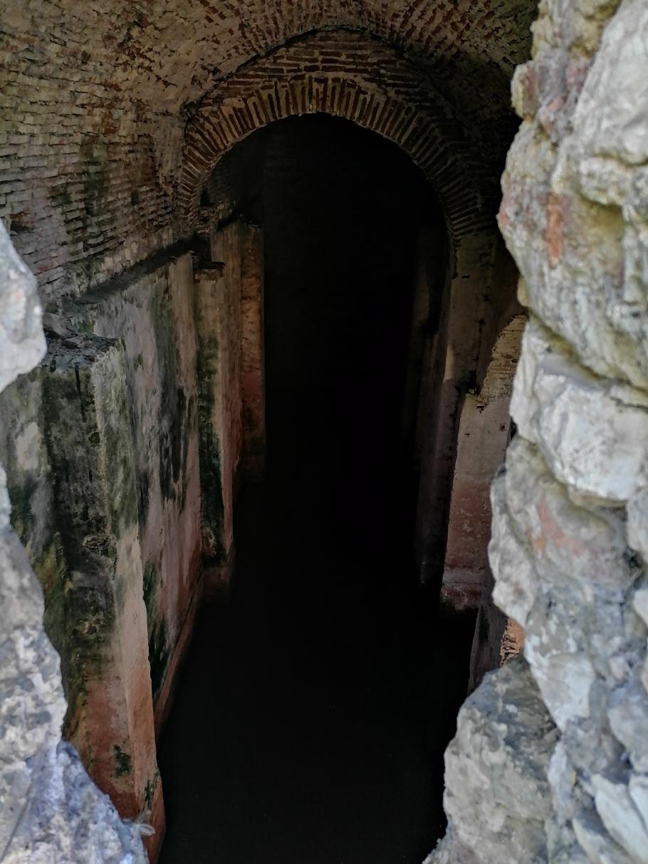 In der alten Zisterne sind Fledermäuse zu hören