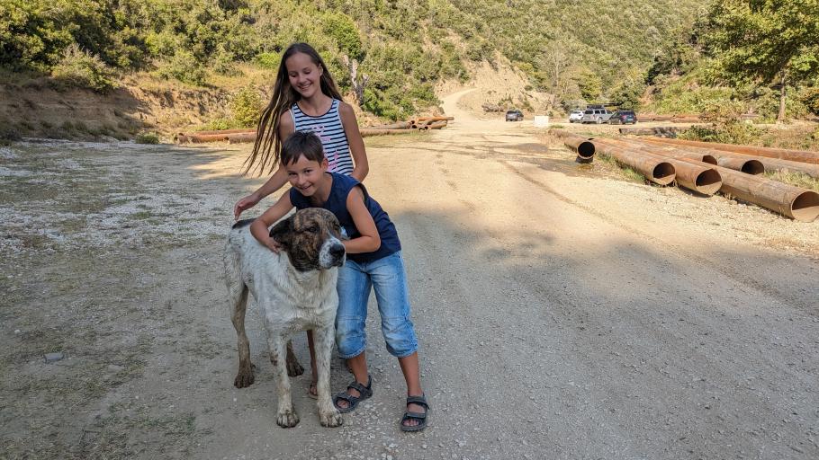 Kuschelig! Kurz überlegen wir, ob er in den Camper passt